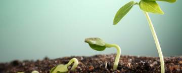 Shutterstock 73588300 V1