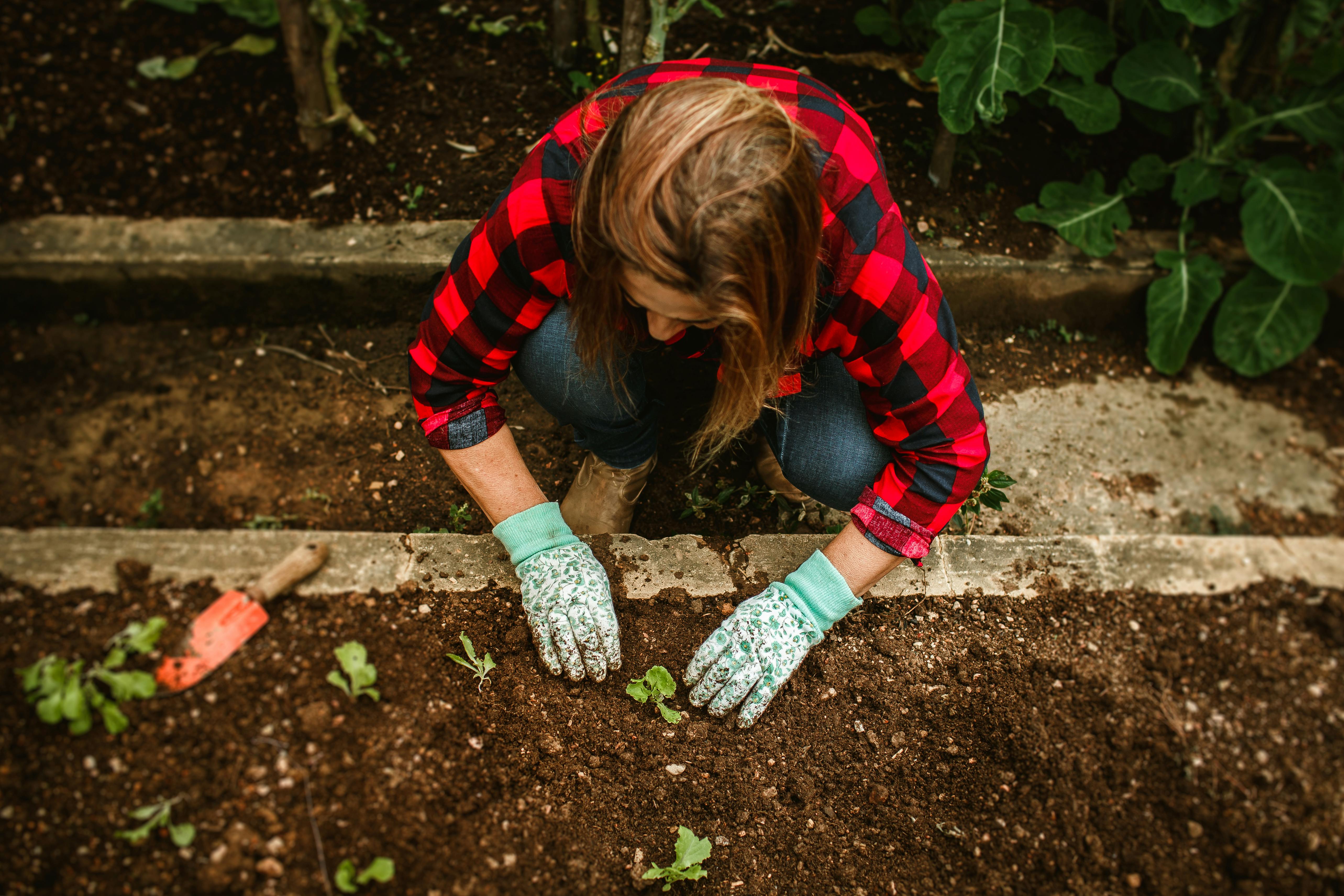 Pexels Helenalopes 27176758